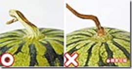 clip_image003 clip_image003