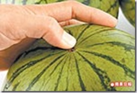 clip_image010 clip_image010