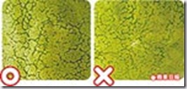 clip_image007 clip_image007