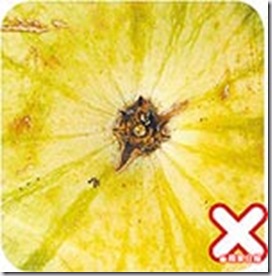 clip_image011 clip_image011