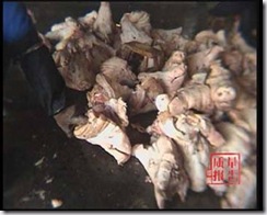 clip_image041 clip_image041