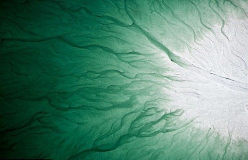 美國路易斯安那:因石膏、硫酸,鈾、鐳等重金屬污染造成「水草」。