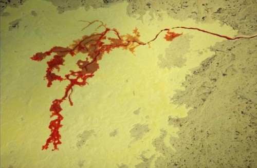 加拿大亞伯達:黃色的是大片硫磺,紅色的是一條被污染的河流。