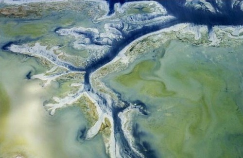 美國佛羅里達:看起來像是雪地中的高原,但其實是磷肥廠所造成的污染。