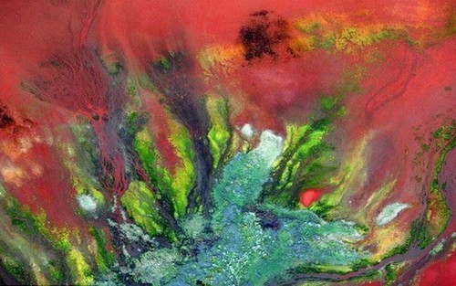 美國路易斯安那:鋁廠污染,在當地形成了大片的紅土。