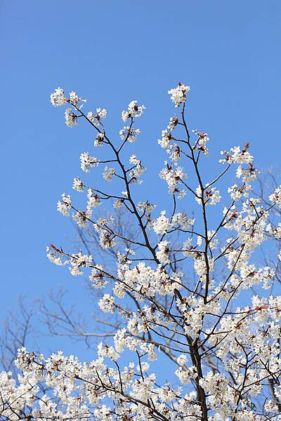 20120325_北九州_12.JPG 20120325_北九州_12.JPG