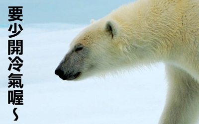 北極熊台詞 北極熊台詞