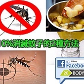 【如何110%消滅家裡的蚊子?】 【如何110%消滅家裡的蚊子?】