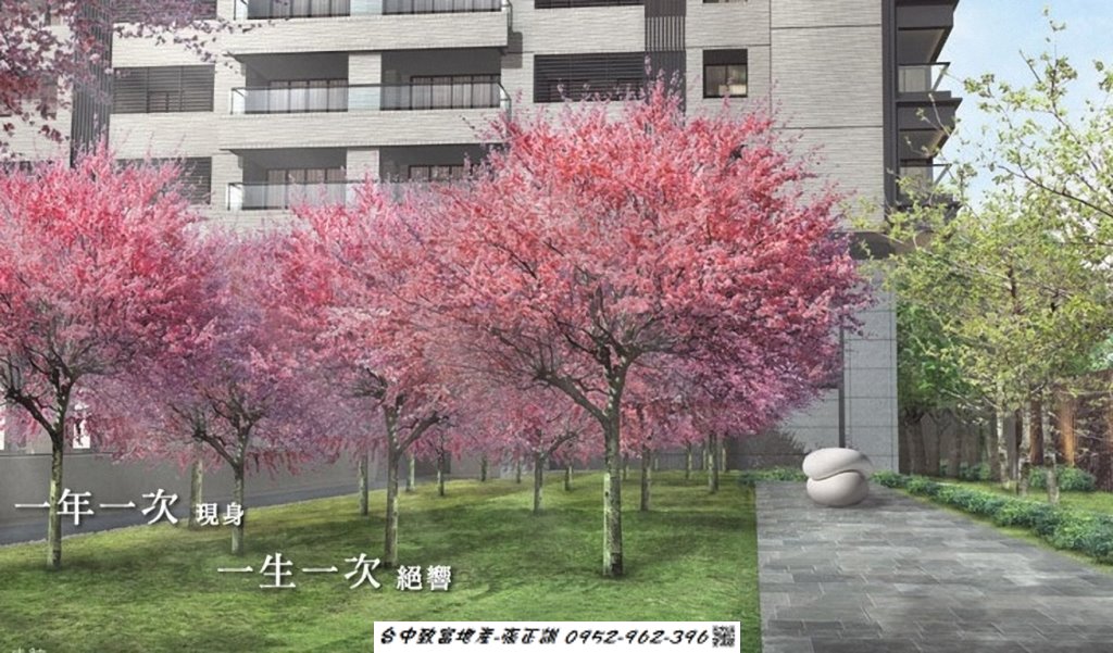 171420843-中庭落櫻.jpg