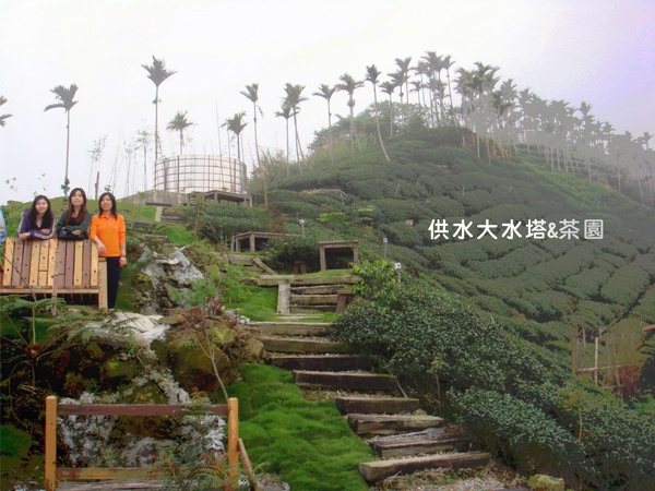 供水大水塔&茶園.jpg