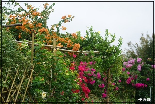 a 022.jpg a 022.jpg