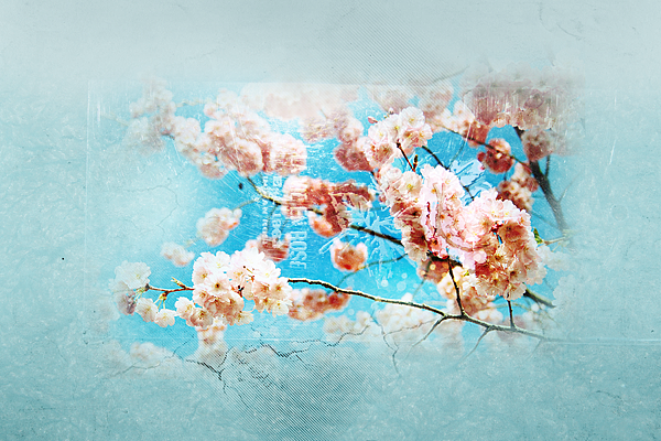 _2010_texture_2.png _2010_texture_2.png