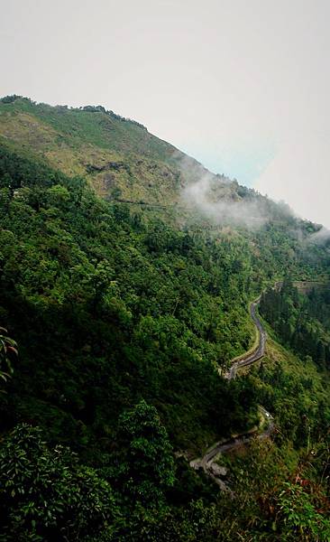 +吉達帕赫茶園(Diddapahar Tea Estate)
