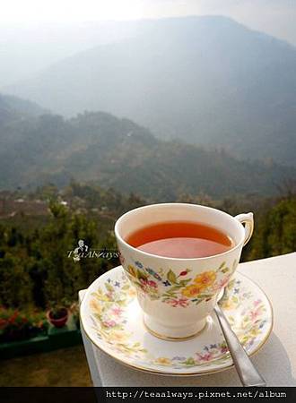 20150217感謝過去2014種種 20150217感謝過去2014種種