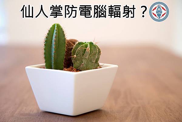 0610仙人掌防電腦輻射 0610仙人掌防電腦輻射