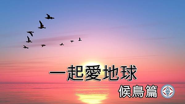 0627節約愛地球—候鳥篇 0627節約愛地球—候鳥篇