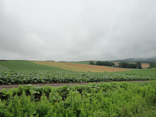 rDSC01287.JPG rDSC01287.JPG