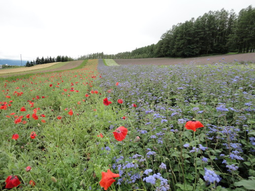 rDSC01146.JPG rDSC01146.JPG