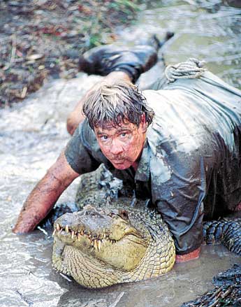 Steve Irwin 3.jpg