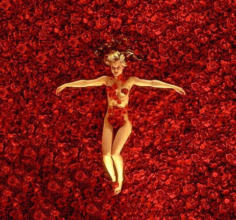 AmericanBeauty AmericanBeauty