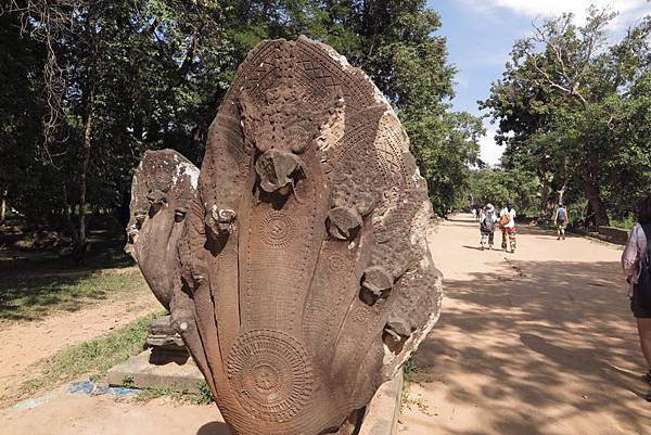 1959551_10152371077296901_8089049076747982272_n