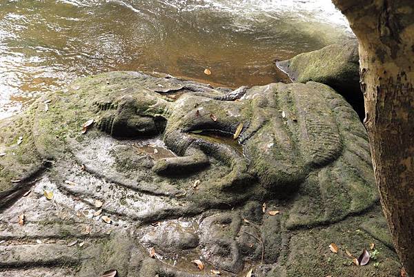 10407908_10152371077711901_3070068936909292300_n