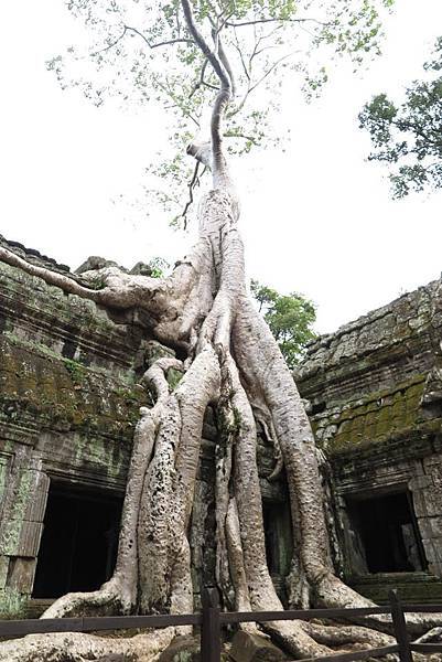 1932386_10152367428116901_6873487083928260984_n