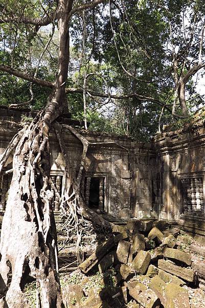 1374241_10152371077486901_7221455866257018757_n