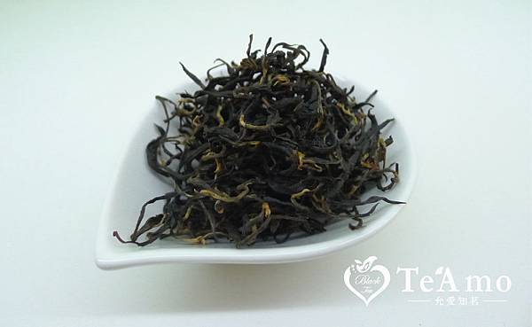 T-Ghoney01 T-Ghoney01