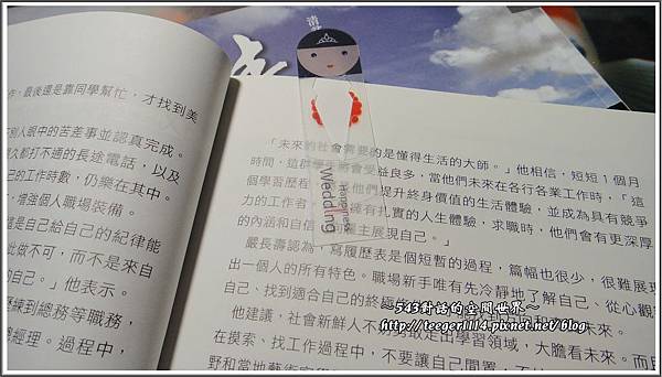 茶包13 茶包13