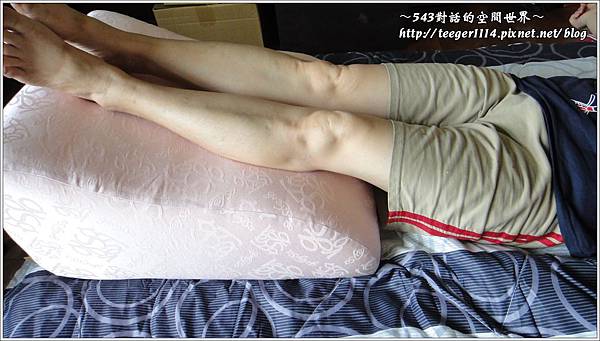 抬腳枕9 抬腳枕9