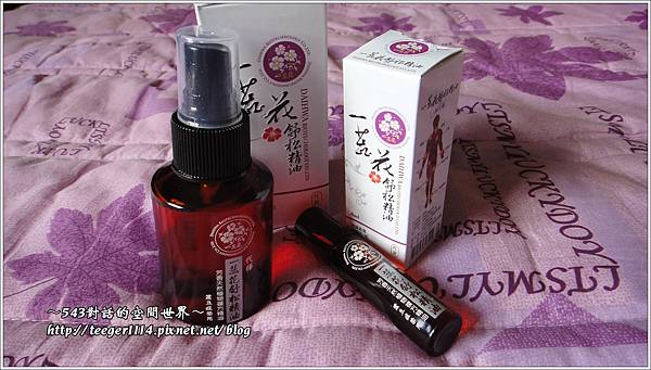 一蕊花2 一蕊花2