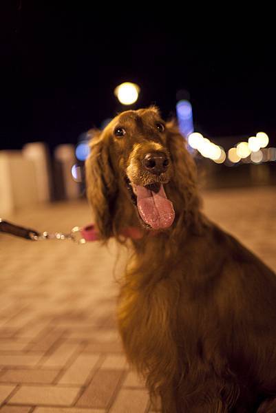 IMG_0356.jpg IMG_0356.jpg