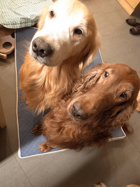 R0030059.JPG R0030059.JPG