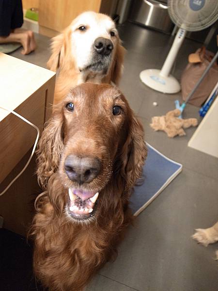 R0030061.JPG R0030061.JPG