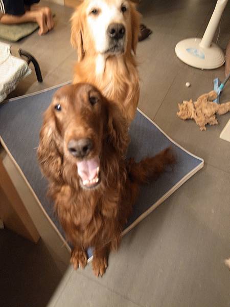 R0030069.JPG R0030069.JPG