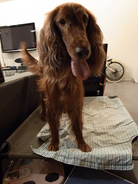 R0030086.JPG R0030086.JPG