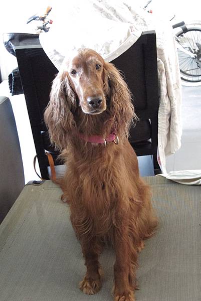 IMG_0672.JPG IMG_0672.JPG