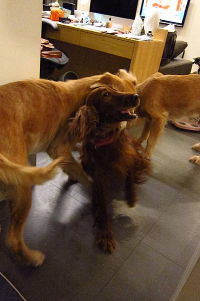 IMG_0883.JPG IMG_0883.JPG