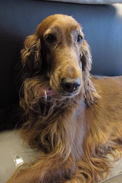 IMG_0944.JPG IMG_0944.JPG