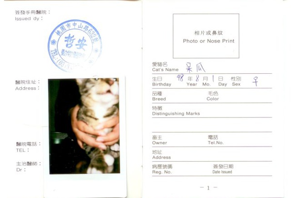 呆瓜1.jpg 呆瓜1.jpg