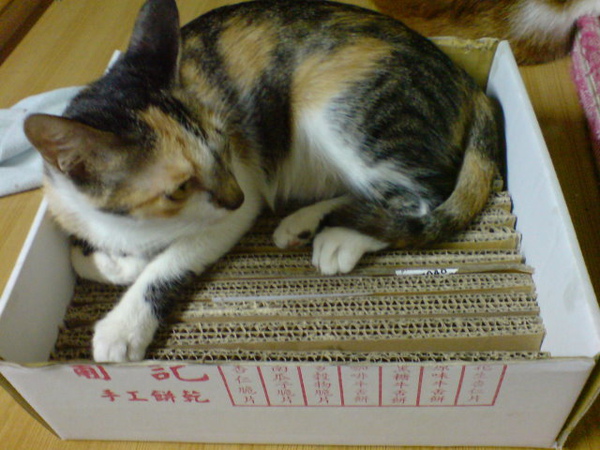 DSC00584.JPG DSC00584.JPG
