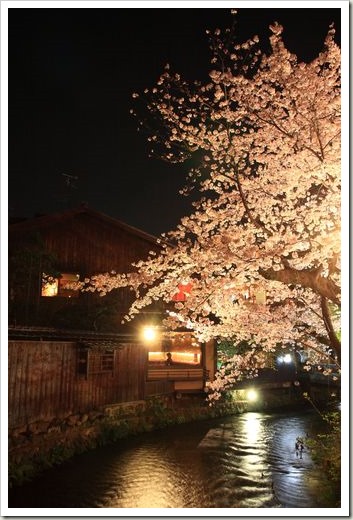 SJShih_201304_Kyoto_0060 SJShih_201304_Kyoto_0060