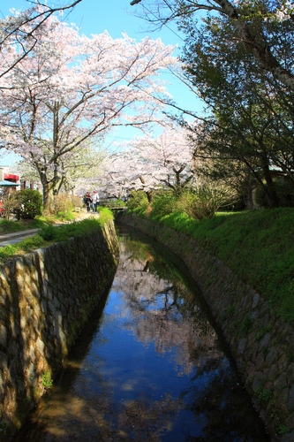 SJShih_201304_Kyoto_0146.JPG SJShih_201304_Kyoto_0146.JPG