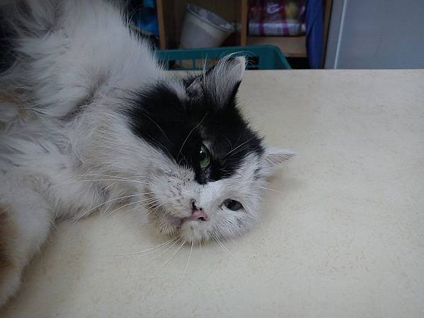 2011-06-04yuki_4.JPG 2011-06-04yuki_4.JPG