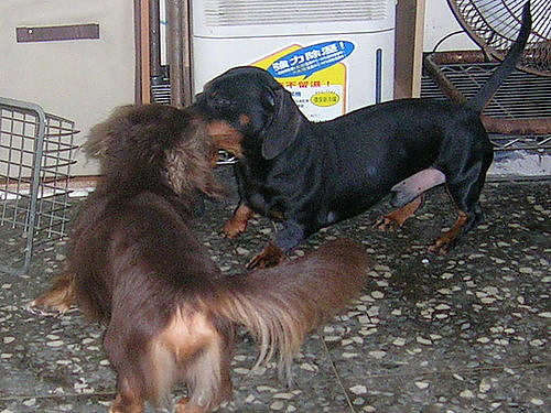 2006-11-15-03.jpg 2006-11-15-03.jpg