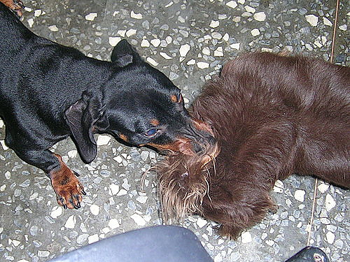 2006-11-15-05.jpg 2006-11-15-05.jpg