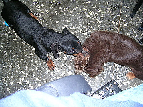 2006-11-15-04.jpg 2006-11-15-04.jpg
