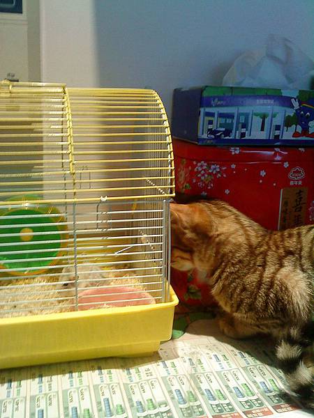 2012-03-05小栗新照片_02 2012-03-05小栗新照片_02
