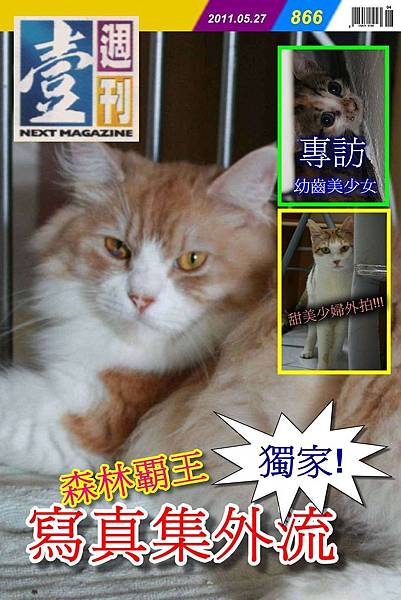 寫真集.jpg 寫真集.jpg